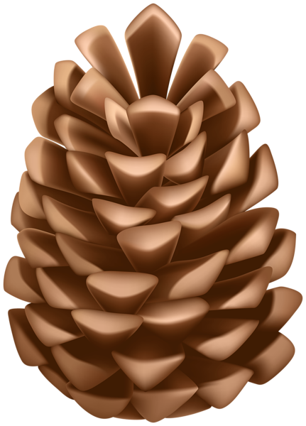 This png image - Pine Cone PNG Clip Art, is available for free download