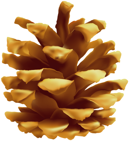 This png image - Pinecone Clip Art Image, is available for free download