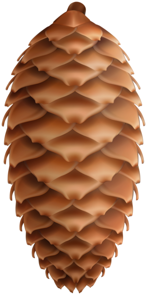 This png image - Pinecone Large PNG Clipart, is available for free download
