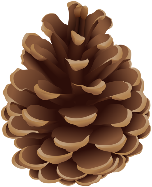 This png image - Pinecone PNG Clip Art, is available for free download
