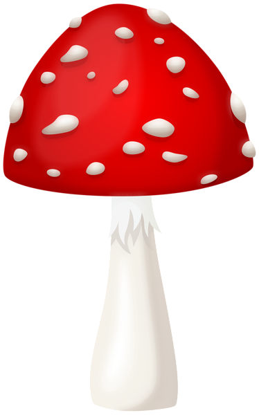 This png image - Red Mushroom Transparent PNG Clipart, is available for free download