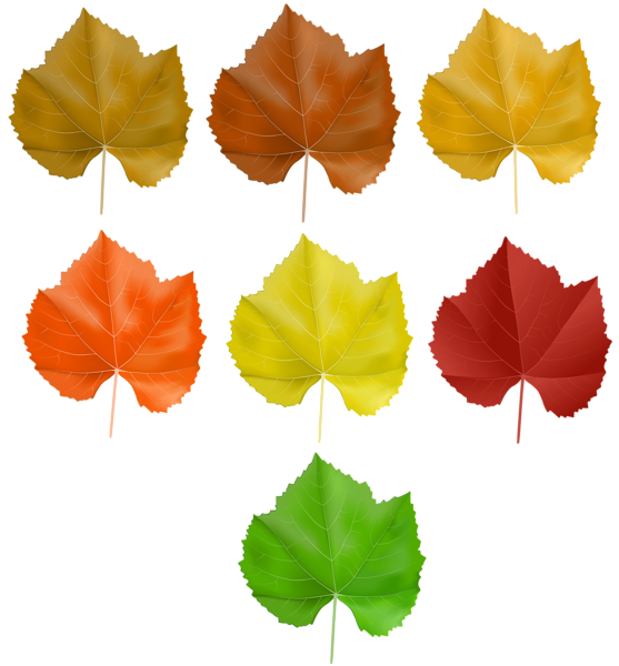 This png image - Set Autumn Leaves PNG Clip Art Image, is available for free download