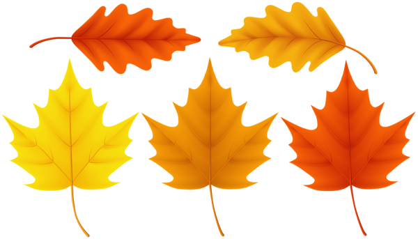 This png image - Set Fall Leaves PNG Clip Art Image, is available for free download