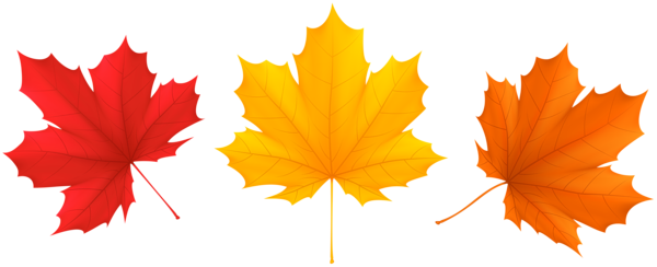 This png image - Set Fall Leaves PNG Clip Art Image, is available for free download