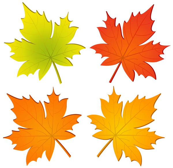 This png image - Set of Autumn Leaves PNG Clip Art, is available for free download