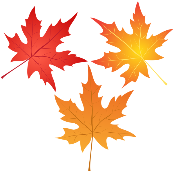 This png image - Set of Autumn Leaves PNG Clipart, is available for free download