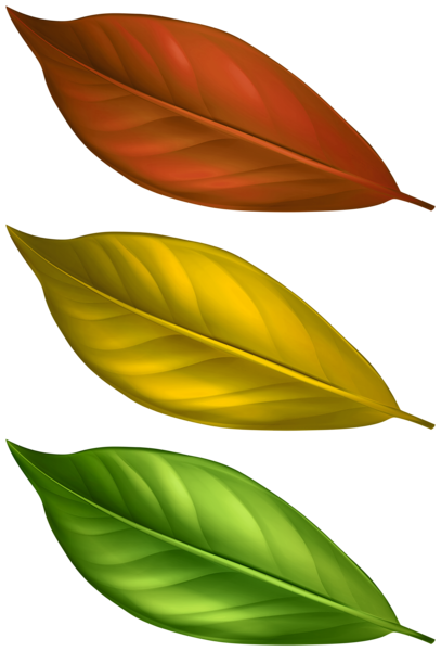 This png image - Set of Autumn Leaves PNG Clipart, is available for free download