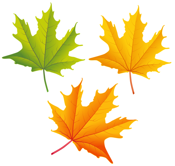 This png image - Set of Autumn Leaves PNG Clipart Image, is available for free download