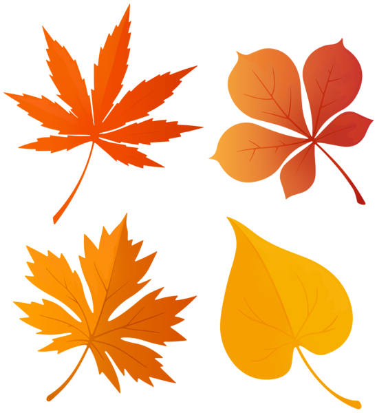This png image - Set of Diferent Autumn Leaves PNG Clipart, is available for free download