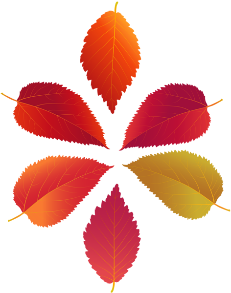 This png image - Set of Fall Leaves PNG Clip Art, is available for free download