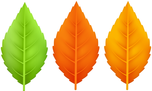 This png image - Three Autumn Leaves PNG Clipart, is available for free download