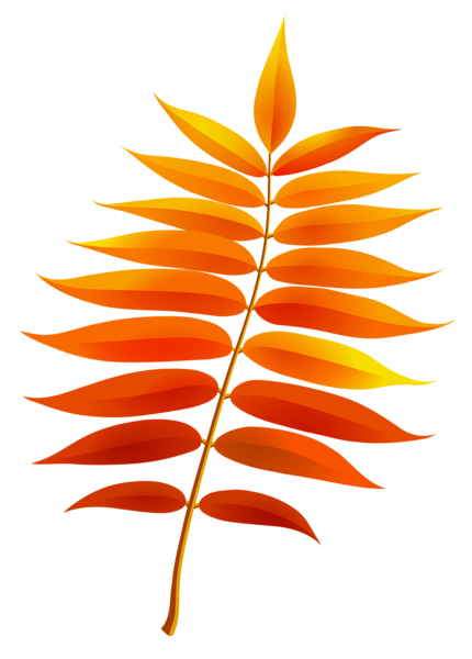 This png image - Transparent Fall Leaf Clipart, is available for free download
