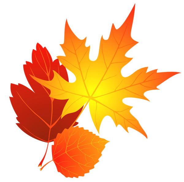 Image result for fall leaf clipart
