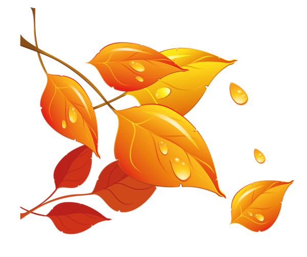 This png image - Transparent Fall Leaves PNG Clipart, is available for free download