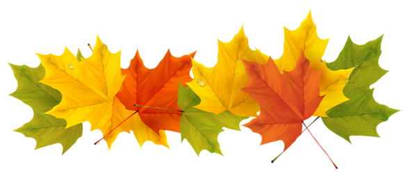 This png image - Transparent Fall Leaves PNG Picture, is available for free download