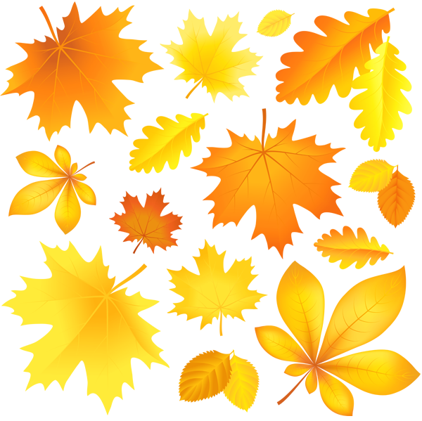 This png image - Transparent Fall Leaves Picture, is available for free download