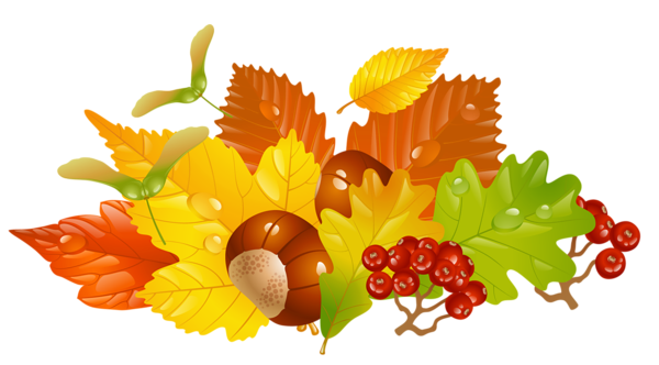 This png image - Transparent Fall Leaves and Chestnuts Picture, is available for free download