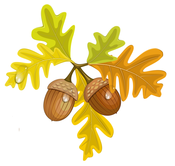 This png image - Transparent Fall Leaves with Acorns, is available for free download