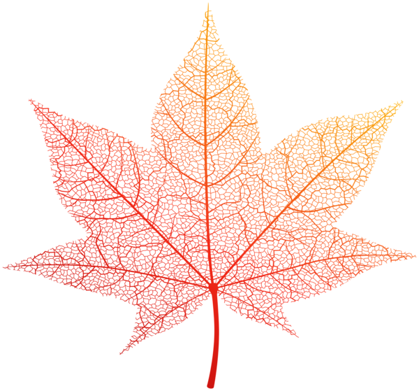 This png image - Transparent Orange Autumn Leaf PNG Clip Art Image, is available for free download