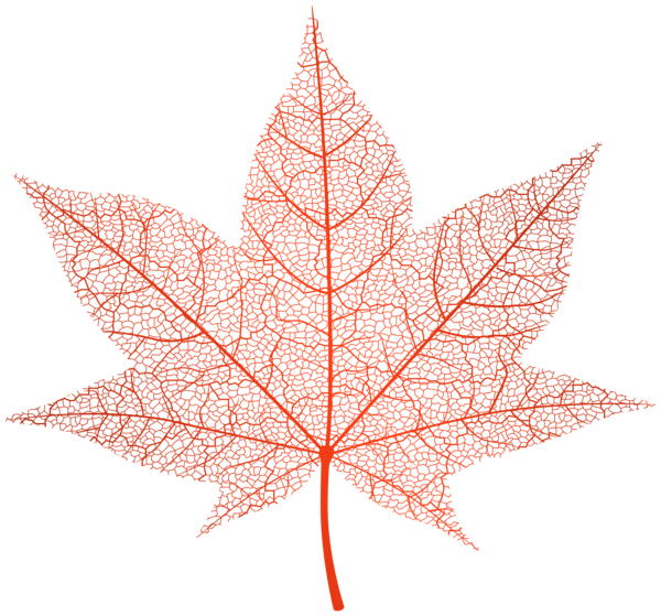 This png image - Transparent Red Autumn Leaf PNG Clip Art Image, is available for free download