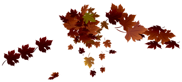 This png image - Transparent Red Fall Leaves PNG Image, is available for free download
