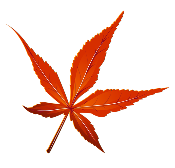 This png image - Transparent Red Leaf Picture, is available for free download