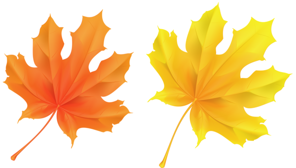 This png image - Transparent Yellow and Orange Leaves Picture, is available for free download