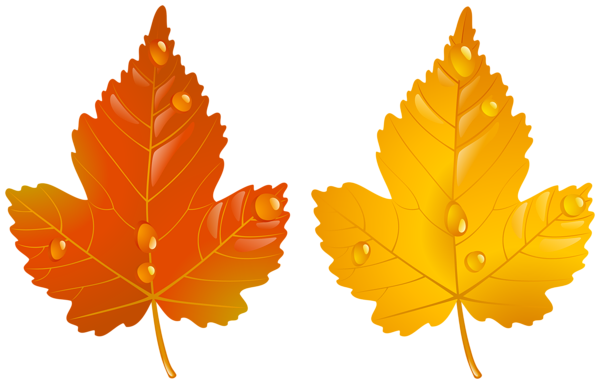This png image - Two Autumn Leaves PNG Clipart, is available for free download