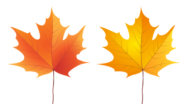This png image - Two Autumn Leaves Set PNG Clipart, is available for free download