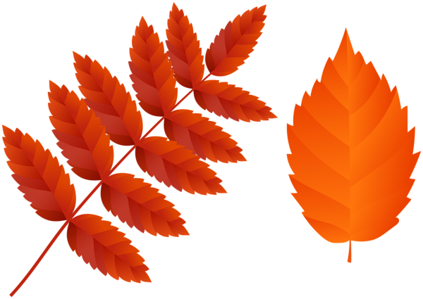 This png image - Two Dark Orange Fall Leaves PNG Clip Art Image, is available for free download