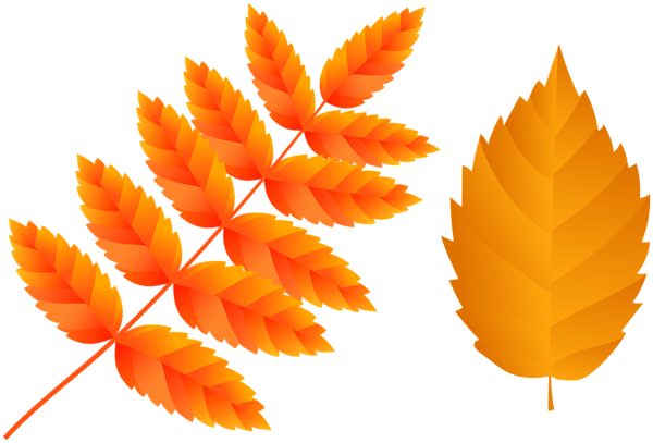This png image - Two Orange Fall Leaves PNG Clip Art Image, is available for free download