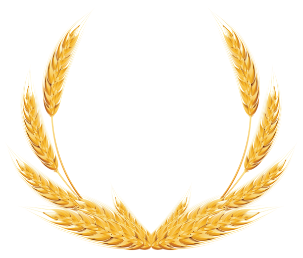 This png image - Wheat Decoration PNG Clipart Image, is available for free download