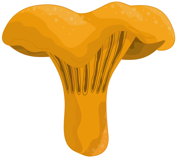 Wild Mushroom PNG Clipart | Gallery Yopriceville - High-Quality Free ...