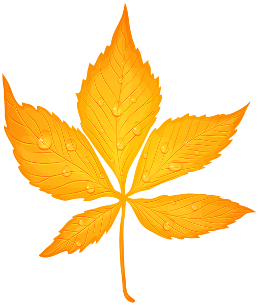 This png image - Yellow Autumn Leaf with Dew Drops Transparent PNG Clip Art Image, is available for free download