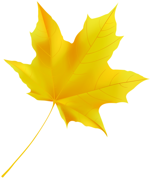 This png image - Yellow Fall Leaf PNG Clipart, is available for free download
