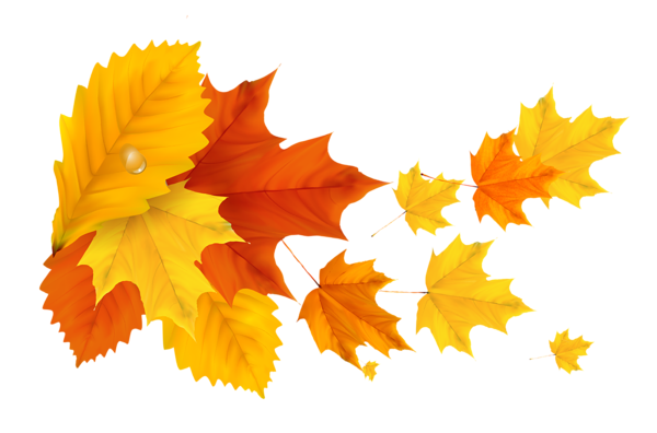This png image - Yellow Orange Fall Leafs PNG Clipart Picture, is available for free download