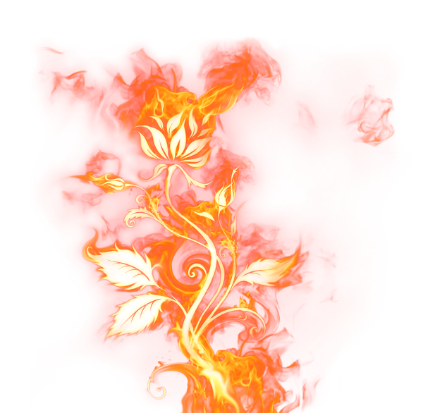 This png image - Beautiful Rose of Fire PNG Clipart Picture, is available for free download