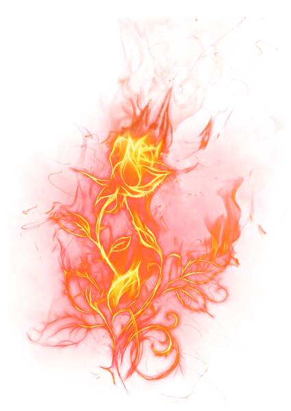 This png image - Transparent Fire Rose PNG Clipart Picture, is available for free download