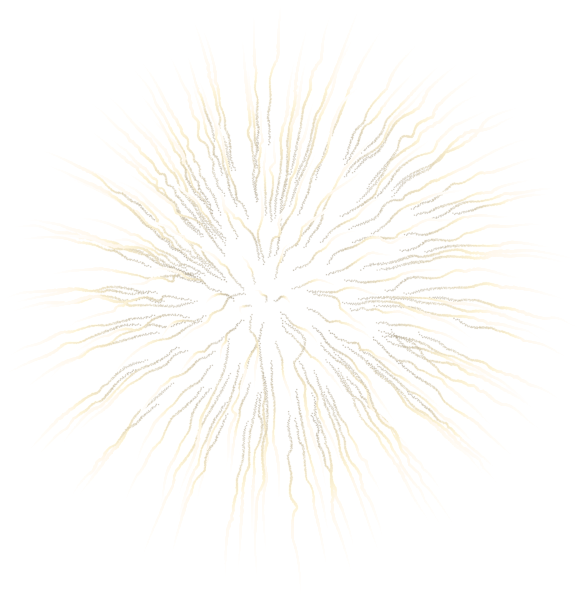 This png image - Firework White Transparent Clip Art, is available for free download