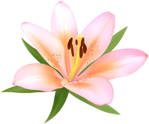 This png image - Alstroemeria Deco Flower PNG Clip Art Image, is available for free download