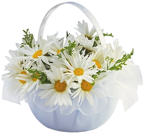 This png image - Basket with Daisies Transparent Clipart, is available for free download