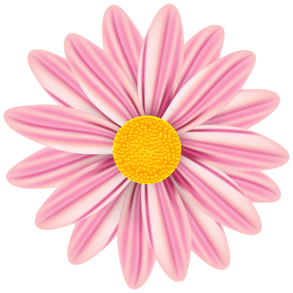 This png image - Beautiful Daisy PNG Clip Art Image, is available for free download
