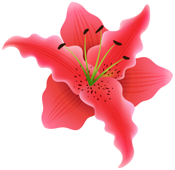 This png image - Beautiful Exotic Flower PNG Clipart Image, is available for free download