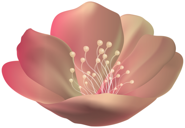 This png image - Beautiful Flower PNG Transparent Clipart, is available for free download