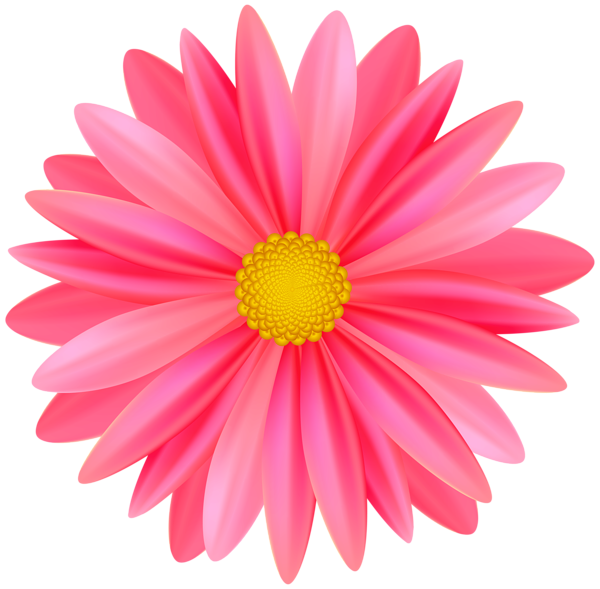 Beautiful Flower PNG Transparent Clipart | Gallery Yopriceville - High ...
