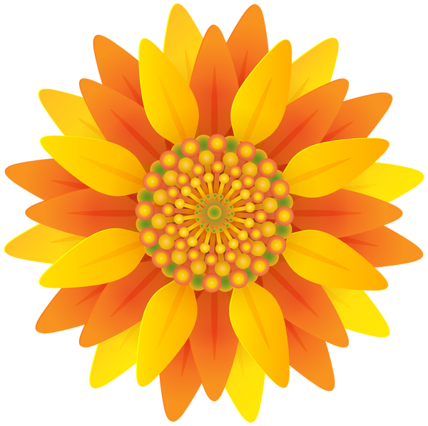 Beautiful Orange Flower PNG Transparent Clip Art | Gallery Yopriceville
