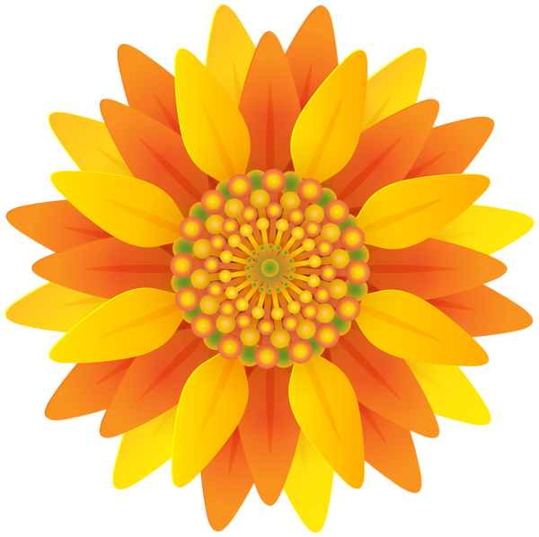 This png image - Beautiful Orange Flower PNG Transparent Clip Art, is available for free download