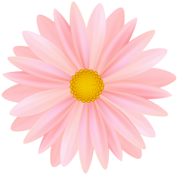 This png image - Beautiful Soft Pink Flower PNG Transparent Clipart, is available for free download