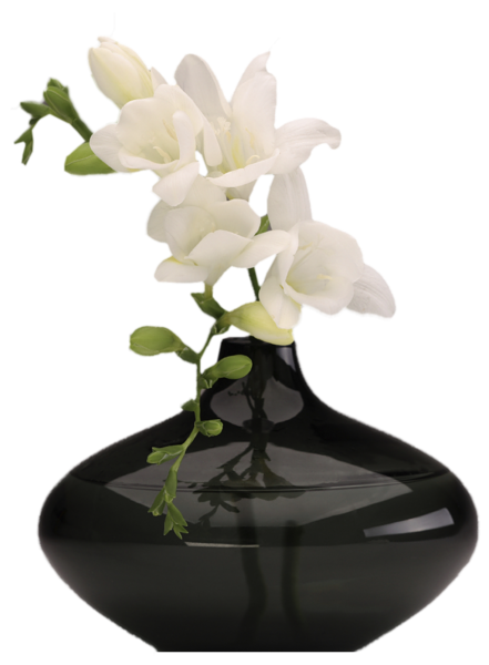 This png image - Black Vase with White Orchids PNG Picture, is available for free download