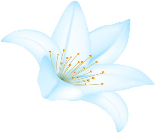 This png image - Blue Lilium Flower PNG Clipart, is available for free download